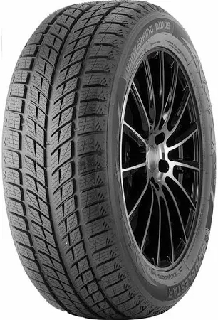 235/50 R19 99H WINTERKING DW09 DOUBLESTAR
